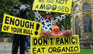 London: Hundreds march against Monsanto and GMO